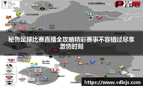 SG胜游平台