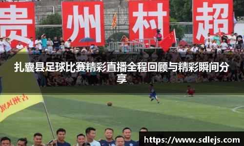 SG胜游下载