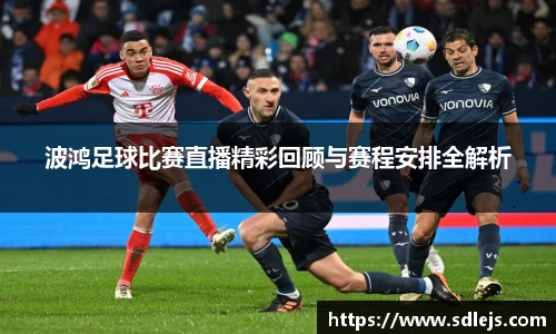 SG胜游官网
