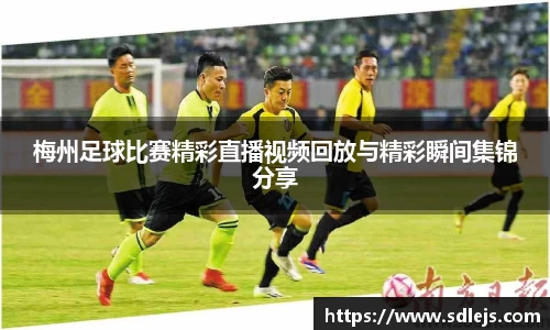 SG胜游下载