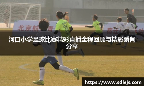 SG胜游下载