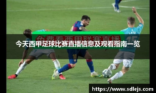 SG胜游官网