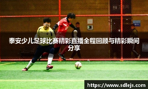 SG胜游官网