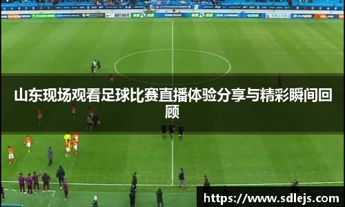 SG胜游APP