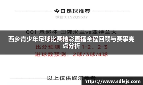 SG胜游官网